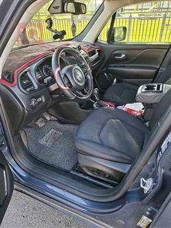 جيب رينيجيد